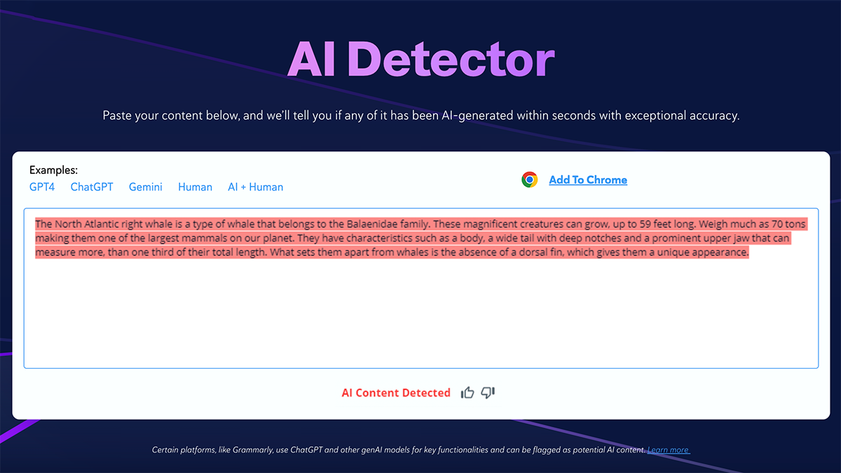 AI Detector screenshot 