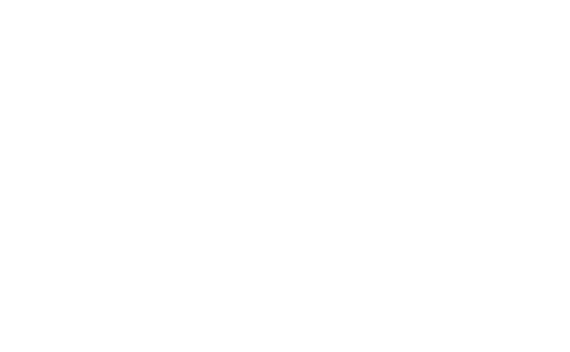 Logo NSS