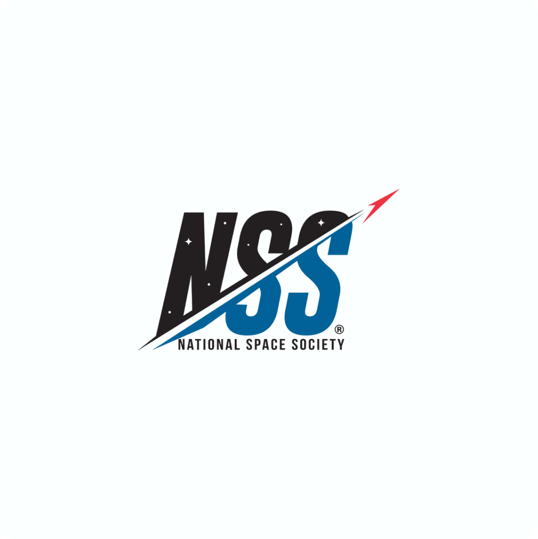 Logo dell'NSS