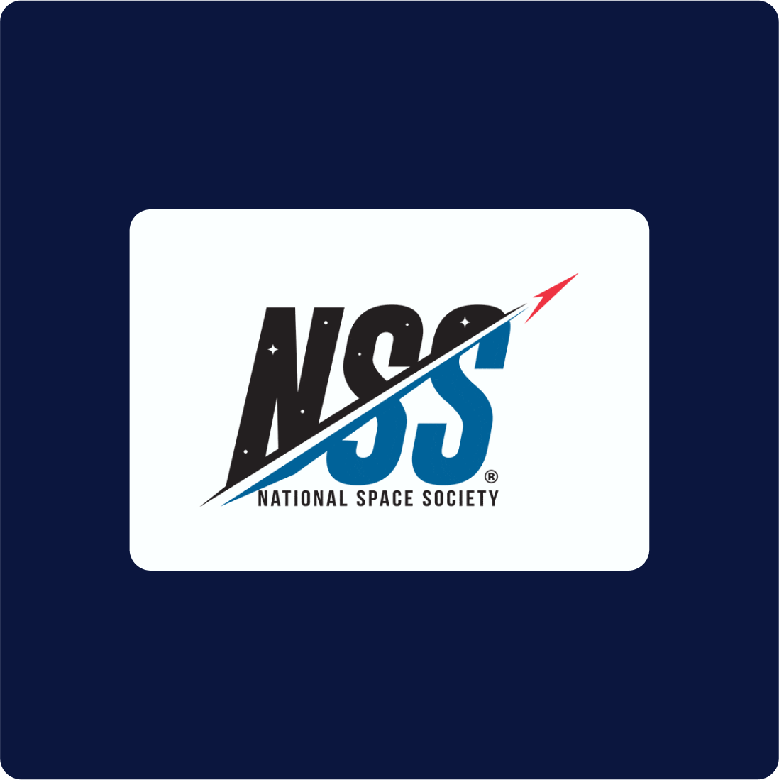 NSS Logo